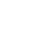 Missing Brontosaurus